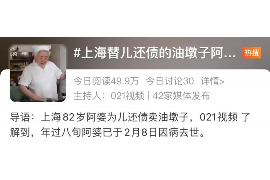 顺昌要账公司联系方式：高效解决债务难题的可靠伙伴